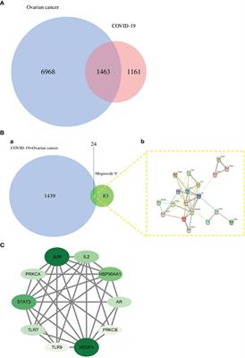 Preclinical In Silico Evidence Indicates the Pharmacological Targets and Mechanisms of Mogroside V in Patients With Ovarian Cancer and <mark class="highlighted">Coronavirus</mark> Disease 2019